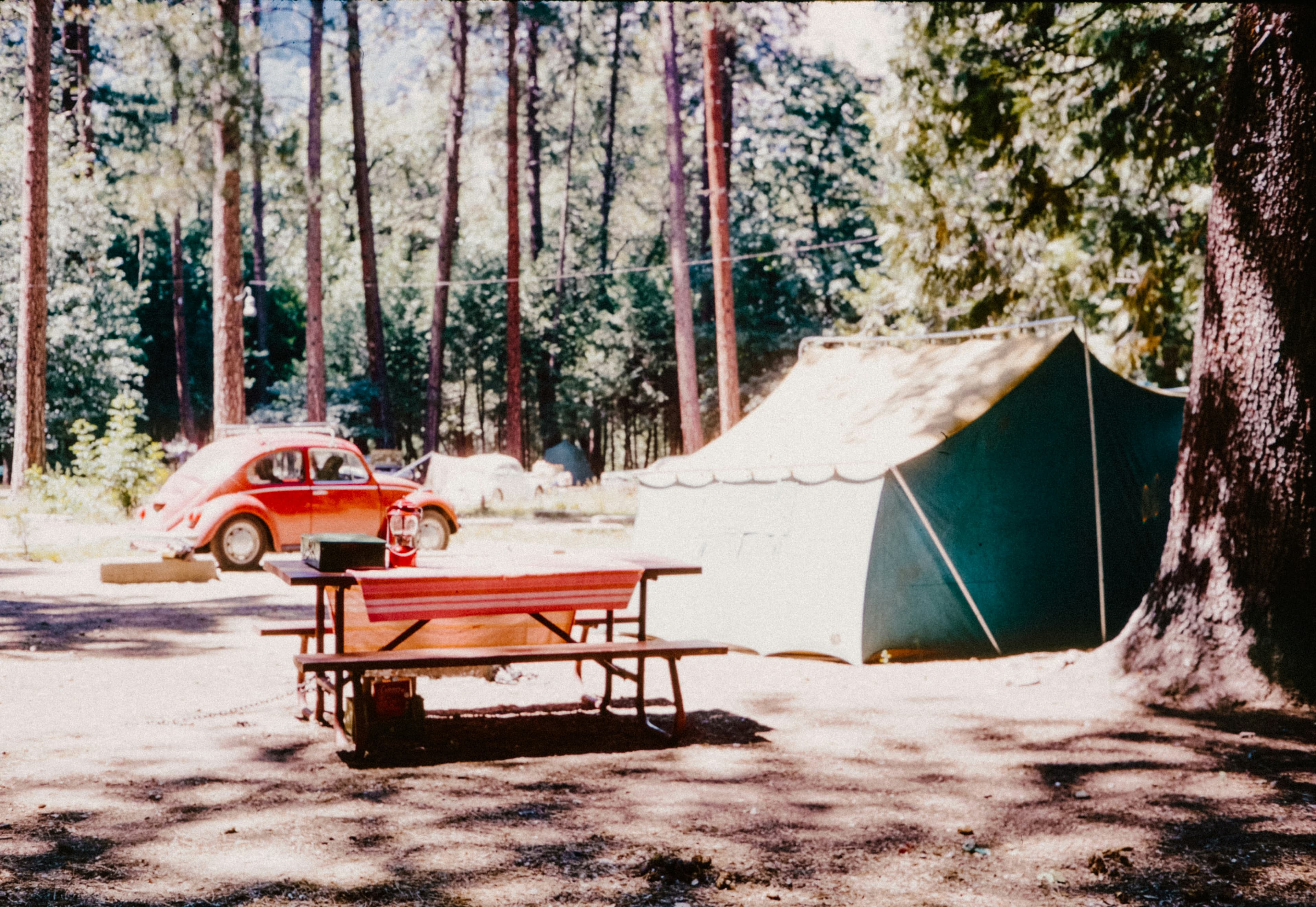 /images/accomodation-bg.jpg